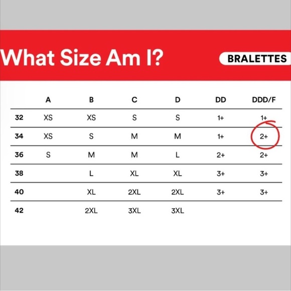 Parade Dream Fit Scoop Bralette in “Bite” Size 2 - Picture 3 of 6